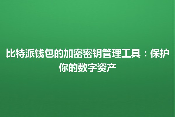 比特派钱包的加密密钥管理工具🔐：保护你的数字资产