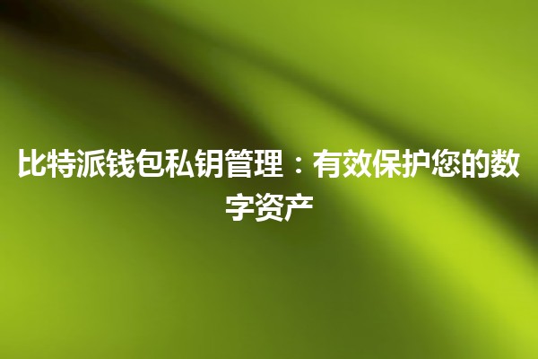 比特派钱包私钥管理：有效保护您的数字资产 🔐💰