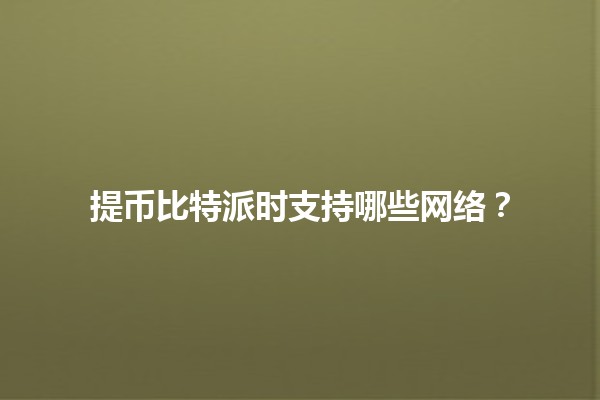 提币比特派时支持哪些网络？💰🌐