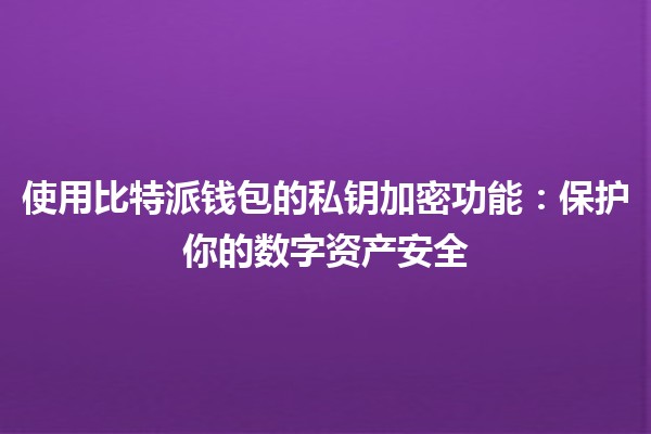 💼 使用比特派钱包的私钥加密功能：保护你的数字资产安全 🌐