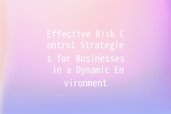 Effective Risk Control Strategies for Businesses in a Dynamic Environment 🌟